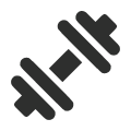 Icon Gym Equipment
