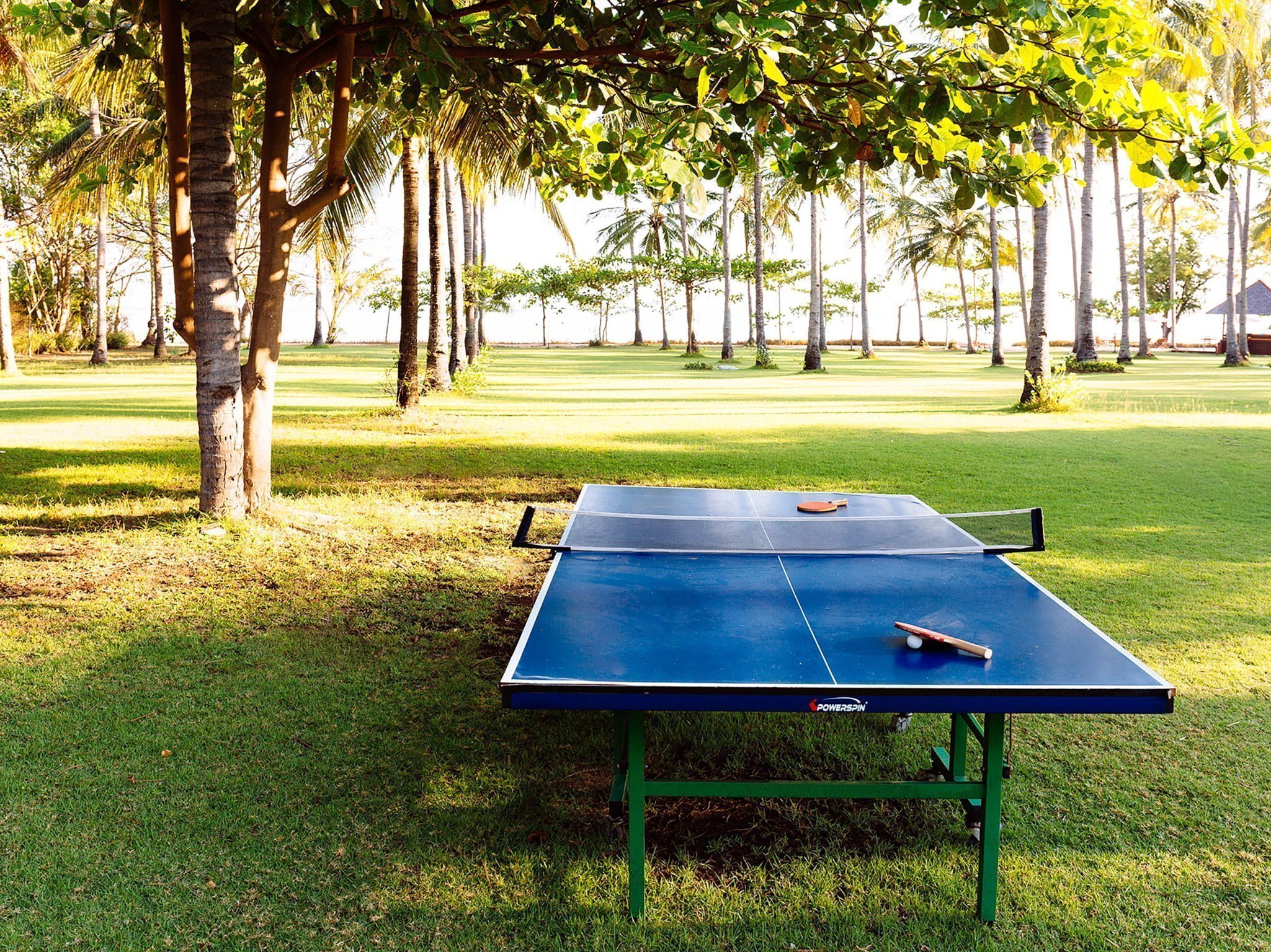 010 the anandita table tennis anyone